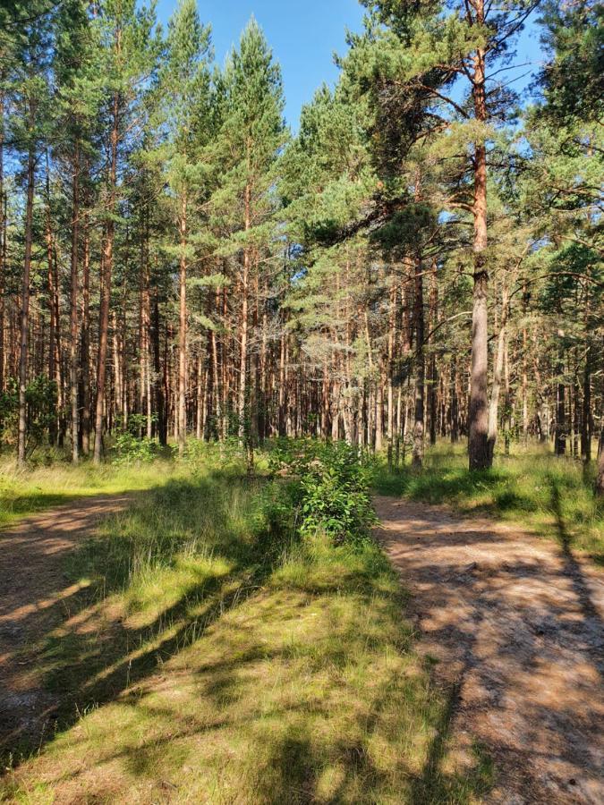Berzelis * Palanga